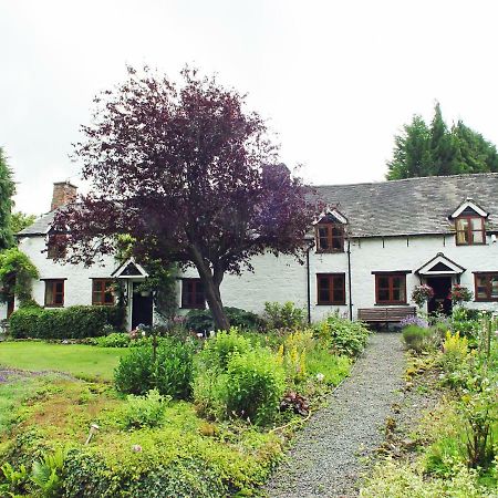 Glencoed B&Bレクサム エクステリア 写真