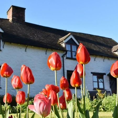 Glencoed B&Bレクサム エクステリア 写真
