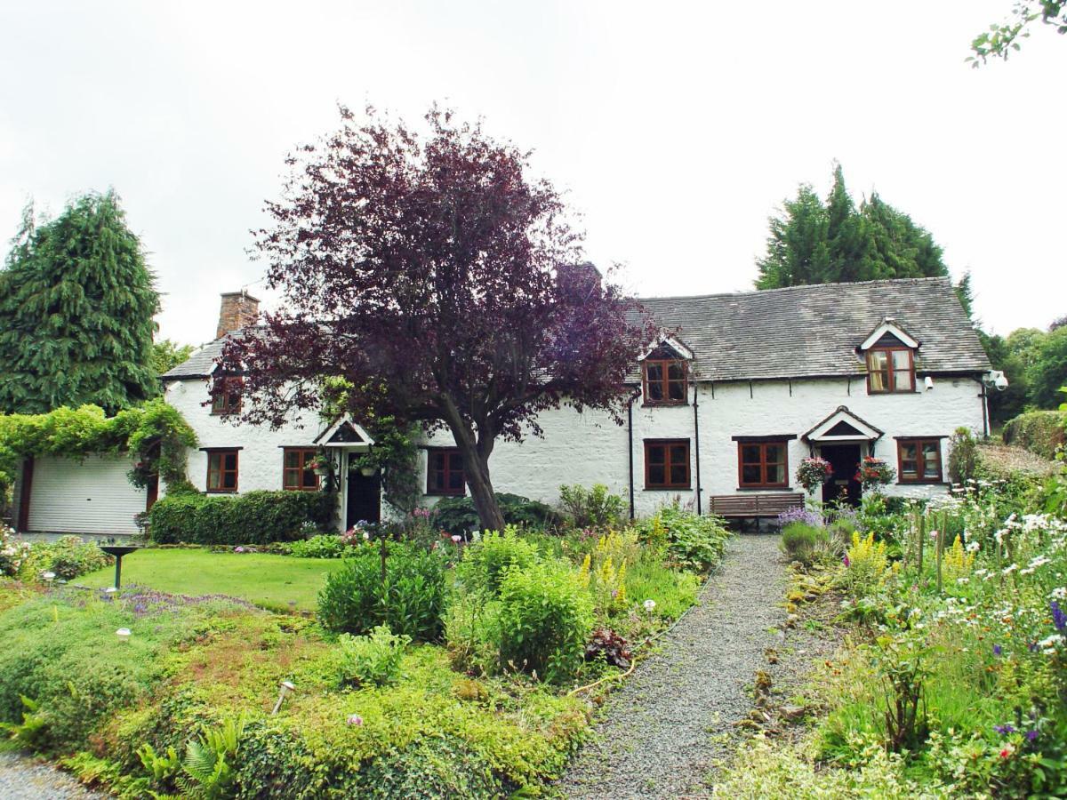 Glencoed B&Bレクサム エクステリア 写真
