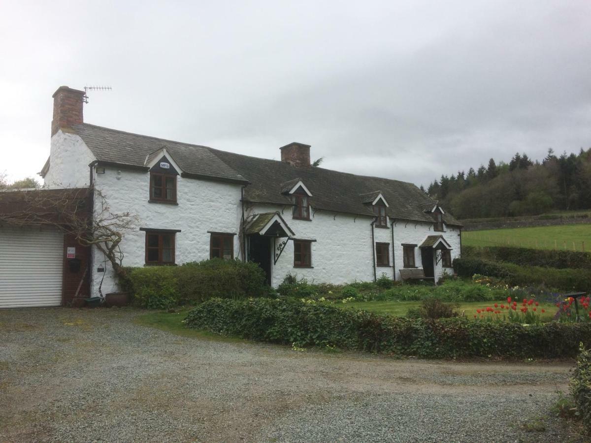 Glencoed B&Bレクサム エクステリア 写真